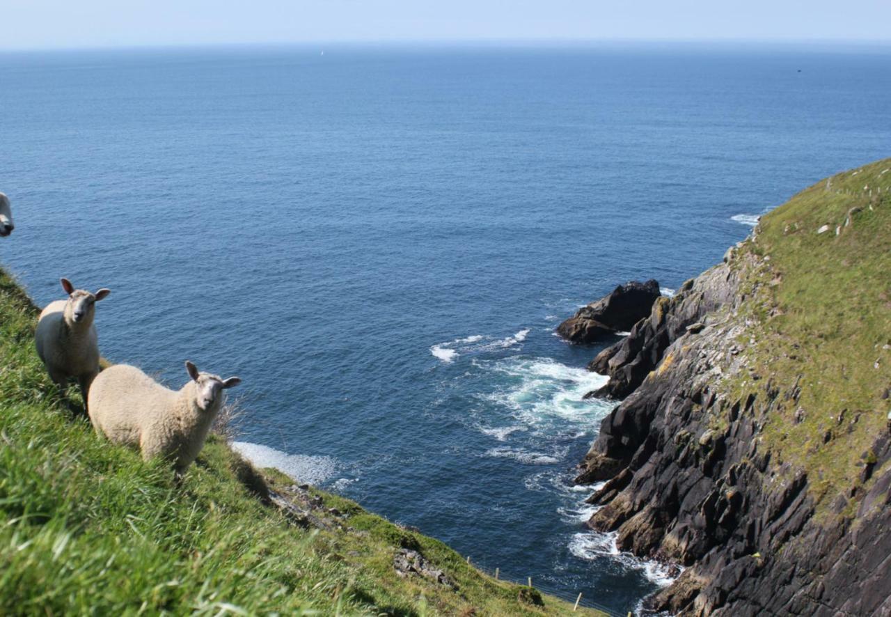 Dingle Bay View By Trident Holiday Homes Dış mekan fotoğraf